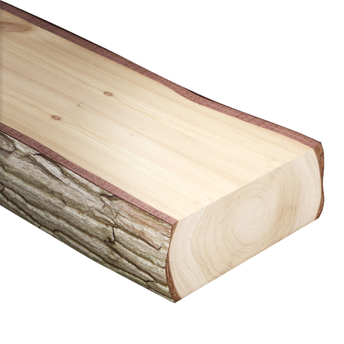 Tarcza zwykła do drewna LA 0125x22,2x1,2/36z do cięcia wzdłużnego drewna miękkiego GLOBUS 5