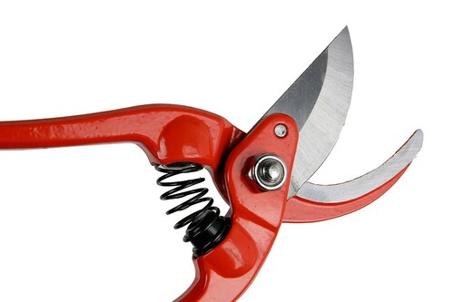 Sekator ogrodowy PROFI 8 CARBON STEEL KT-RG1027/8 3