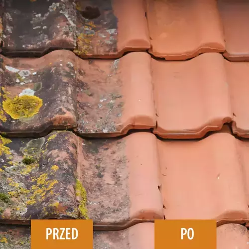 APC Out preparat do czyszczenia dachów i elewacji 1L TECMAXX 9