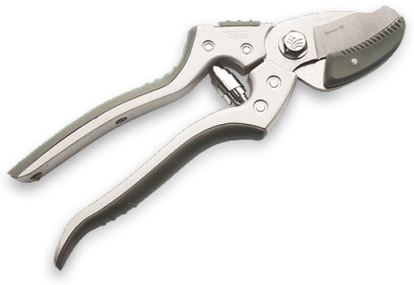 Sekator ogrodowy kowadełkowy 8'' KT-W1031 1