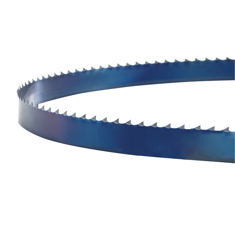 Piła taśmowa Holzstar 2490 x 6,0 x 0,65 mm, 14 TPI 1