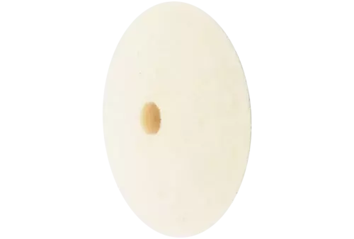 Twardy krążek filcowy w kształcie soczewki Ø 17 × 5 mm do otworu Ø 2 mm do uniwersalnych prac polerskich 1