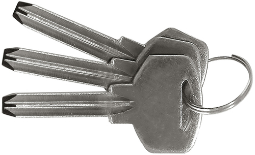 Klucz surowy do kłódek 8139z, 3 sztuki, model 8139ch 1